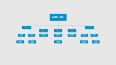 struktur organisasi NASDEM struktur organisasi NASDEM